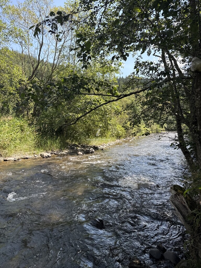 Camere de închiriat Toplița Nature Hub