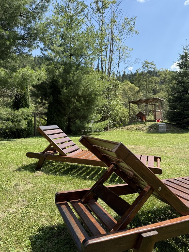Camere de închiriat Toplița Nature Hub