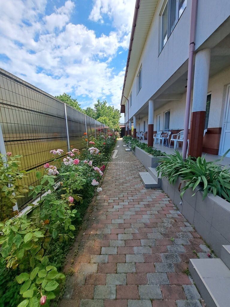 Camere de închiriat Edius