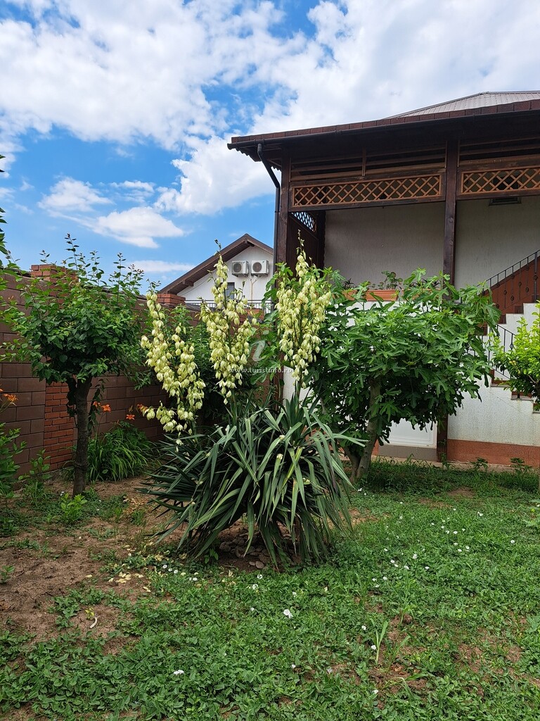 Camere de închiriat Edius