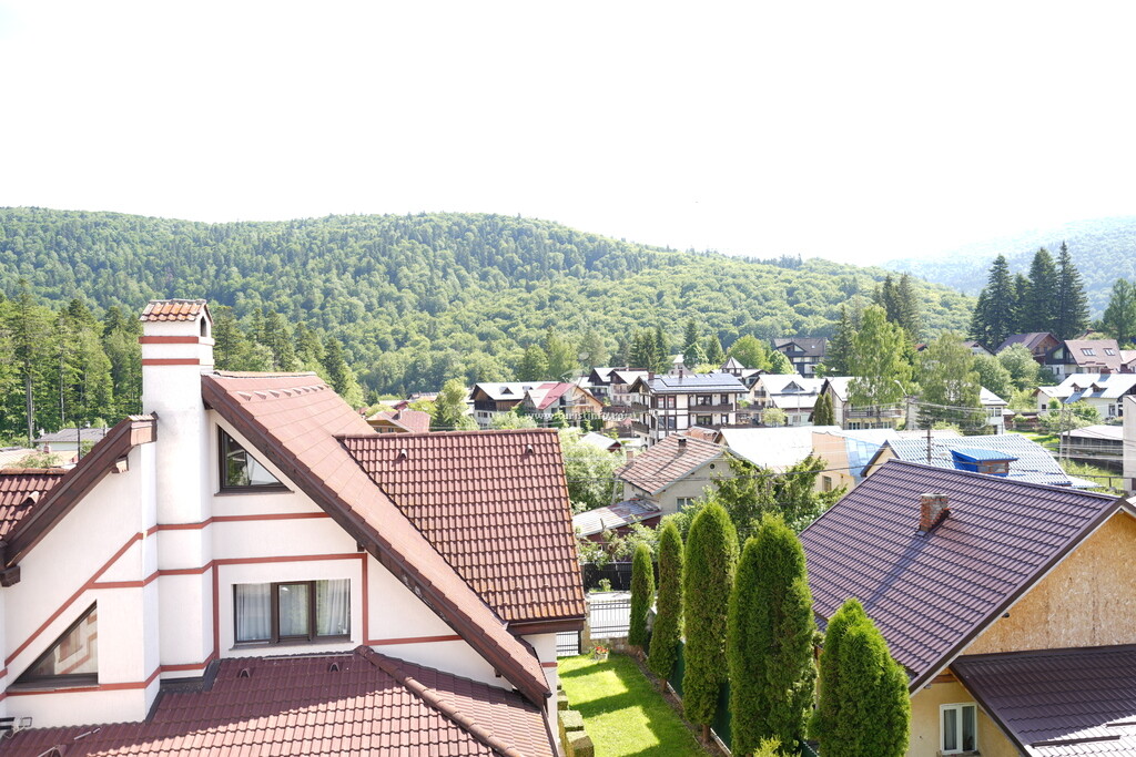 Vila Caracostea