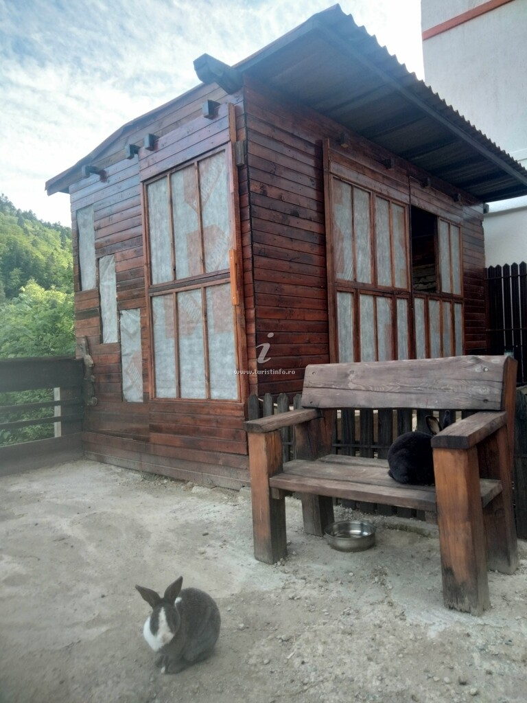 Doi Iepuri