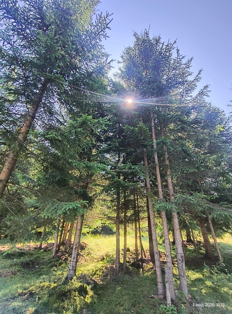 Căsuța din Povești