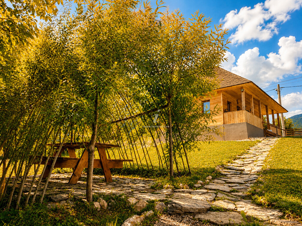 Casa Wezly 1