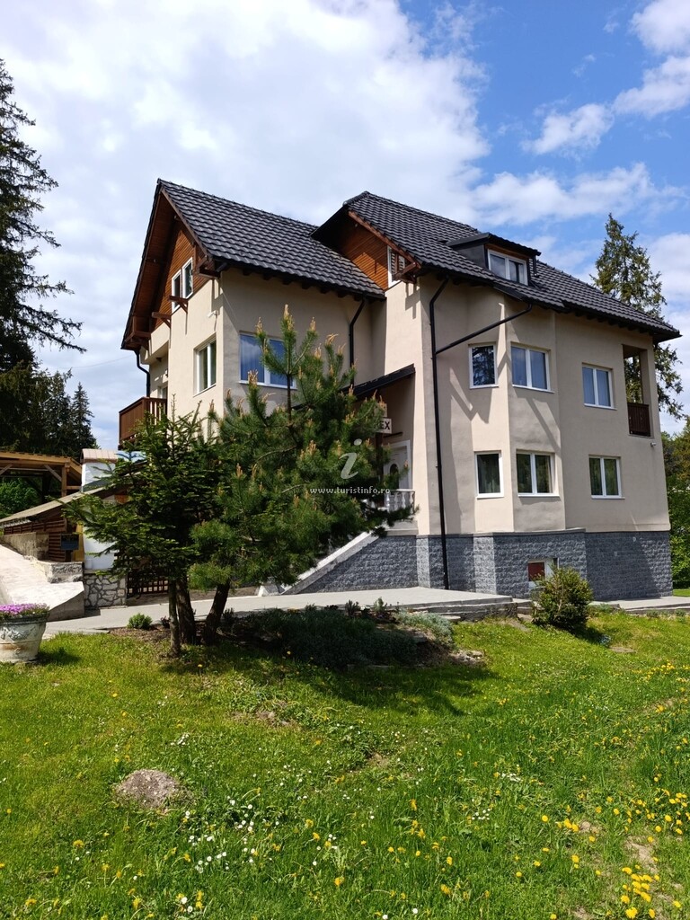 Camere de închiriat Rex