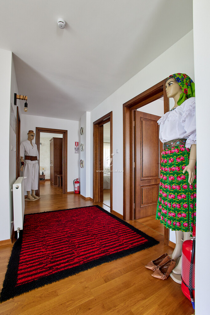 Vila Ghiță
