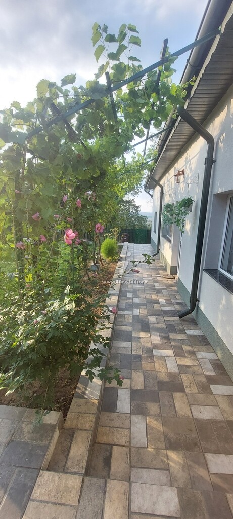 Casa de vacanță Niculițel