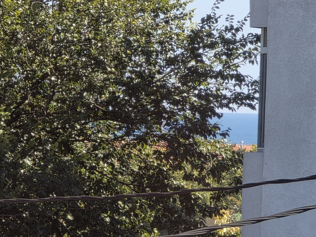 Apartament Gabriela