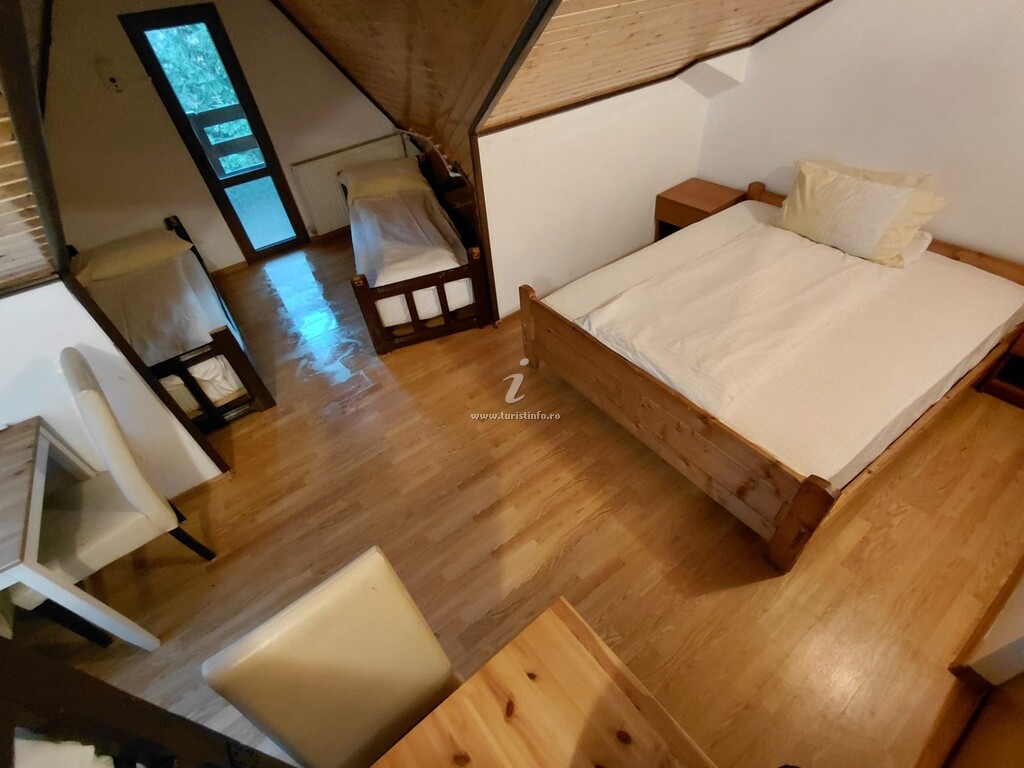 Camere de închiriat STARR