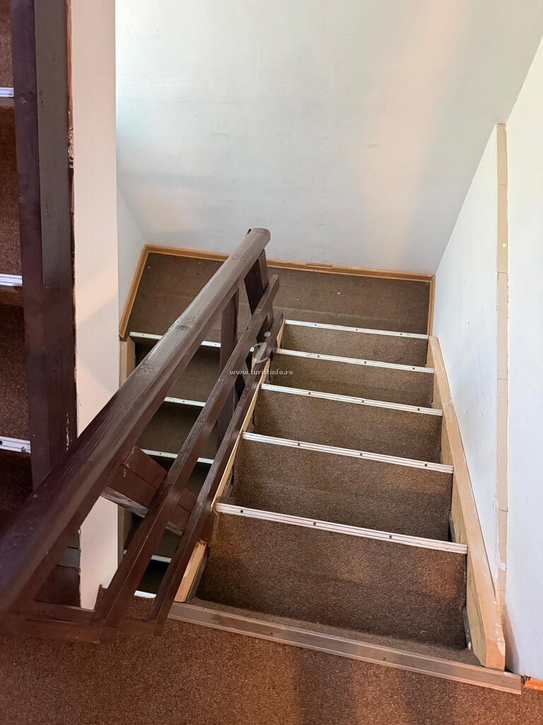 Camere de închiriat STARR