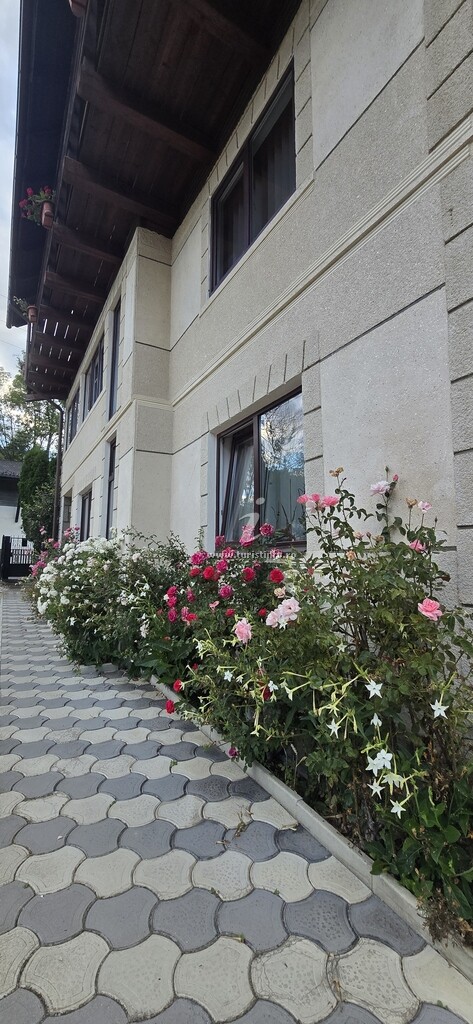 Pensiunea Cuibul Bunicilor