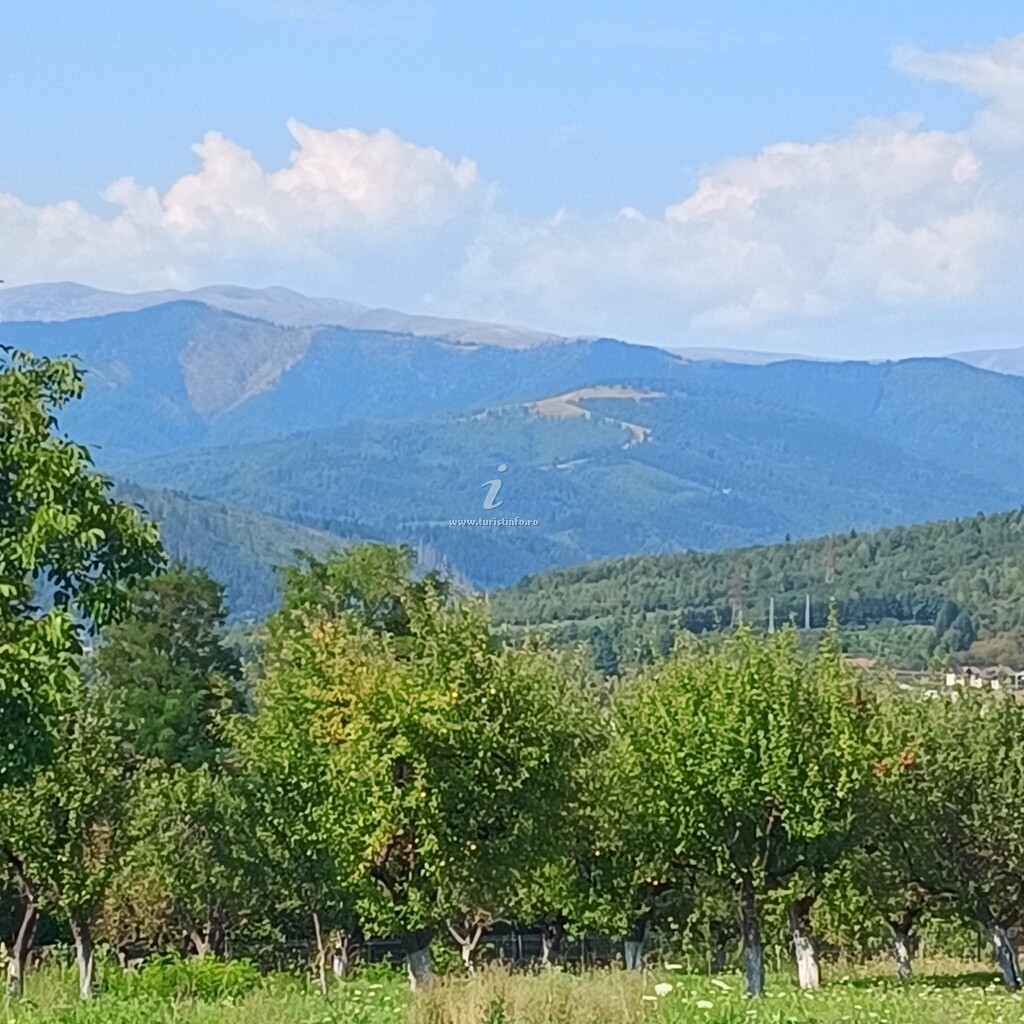 Livada din Mușcel - Casa Iulia