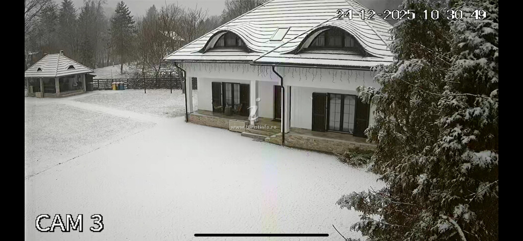 Camere de închiriat Chalet Sucevița
