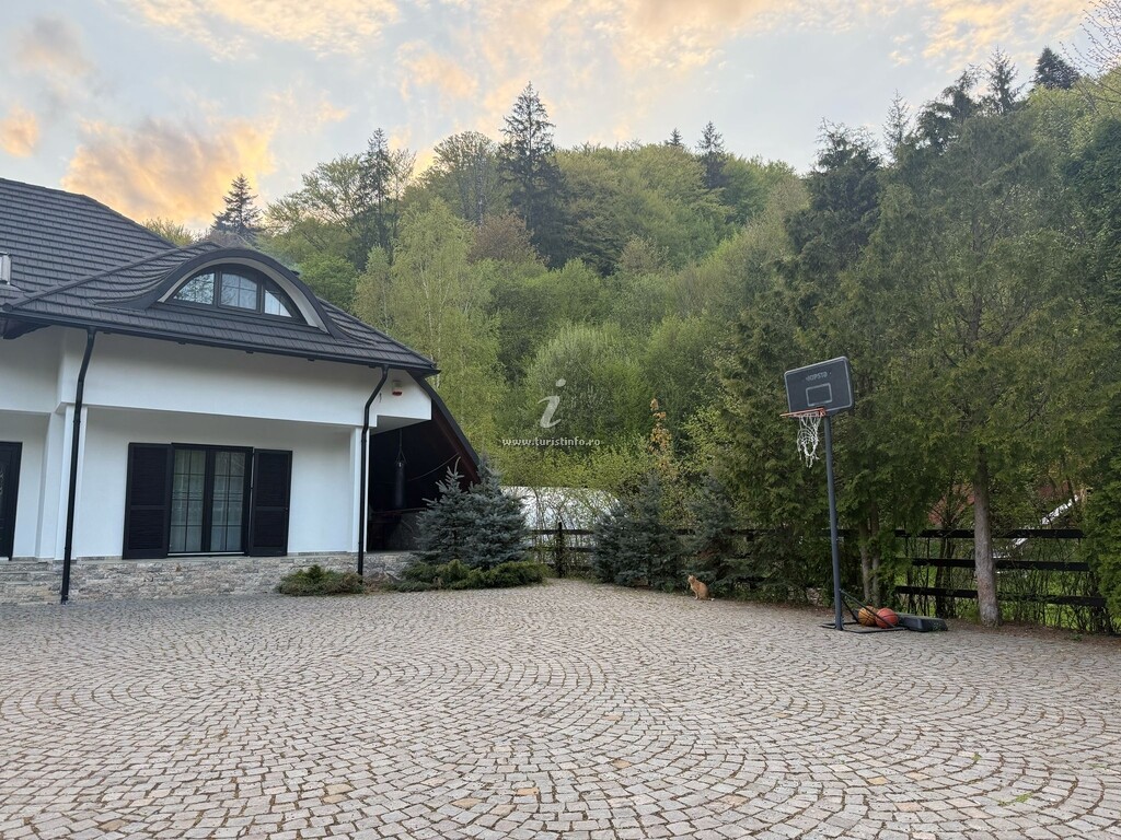 Camere de închiriat Chalet Sucevița