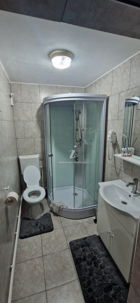 Casa Bosneanu