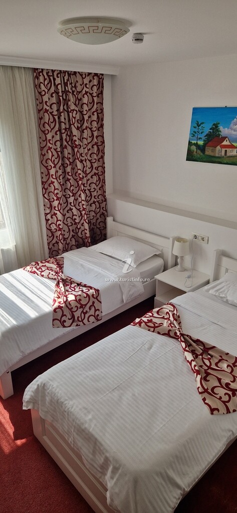 Casa Bosneanu