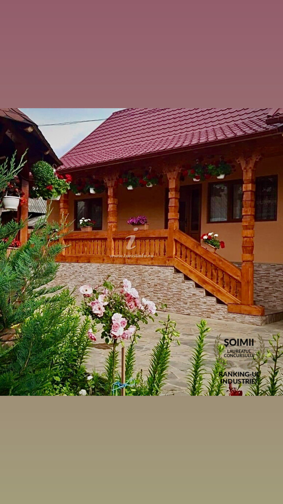 Camere de închiriat Ileana