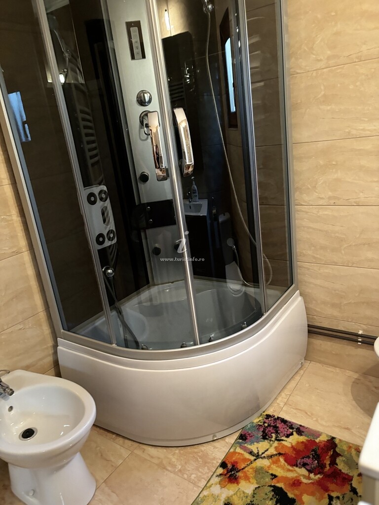 Camere de închiriat Ileana