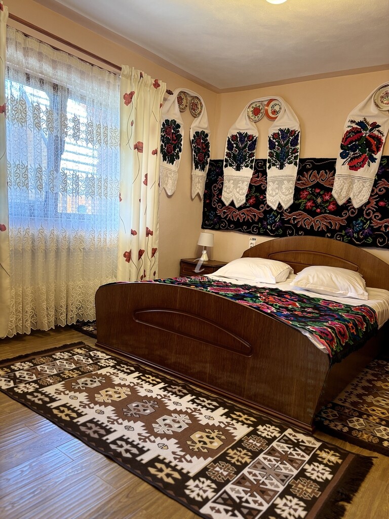 Camere de închiriat Ileana