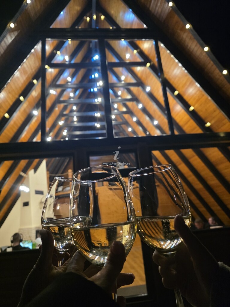 Cabana din Plăiuț