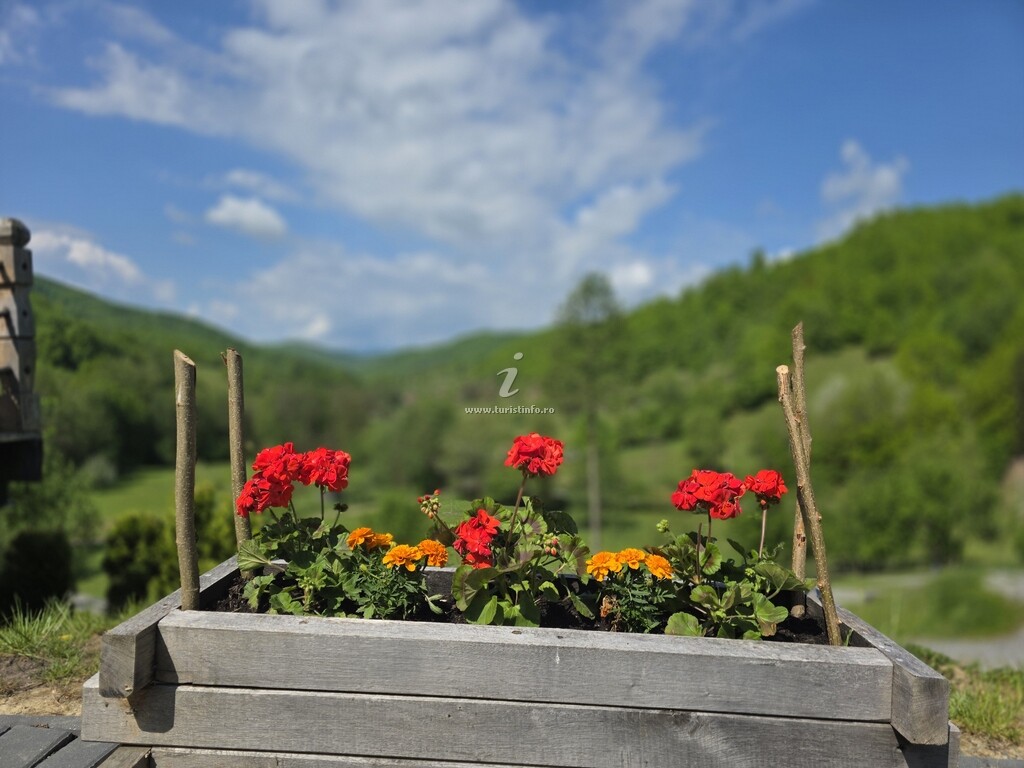 Cabana din Plăiuț