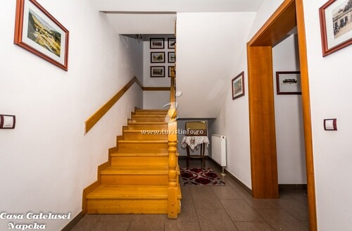 Casa de vacanță a cățelușei Napoka