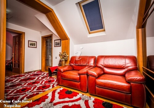 Casa de vacanță a cățelușei Napoka