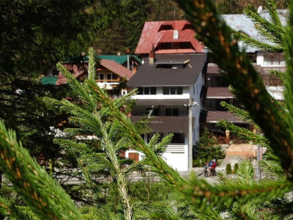 Pensiunea Flora