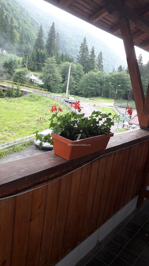 Pensiunea Flora