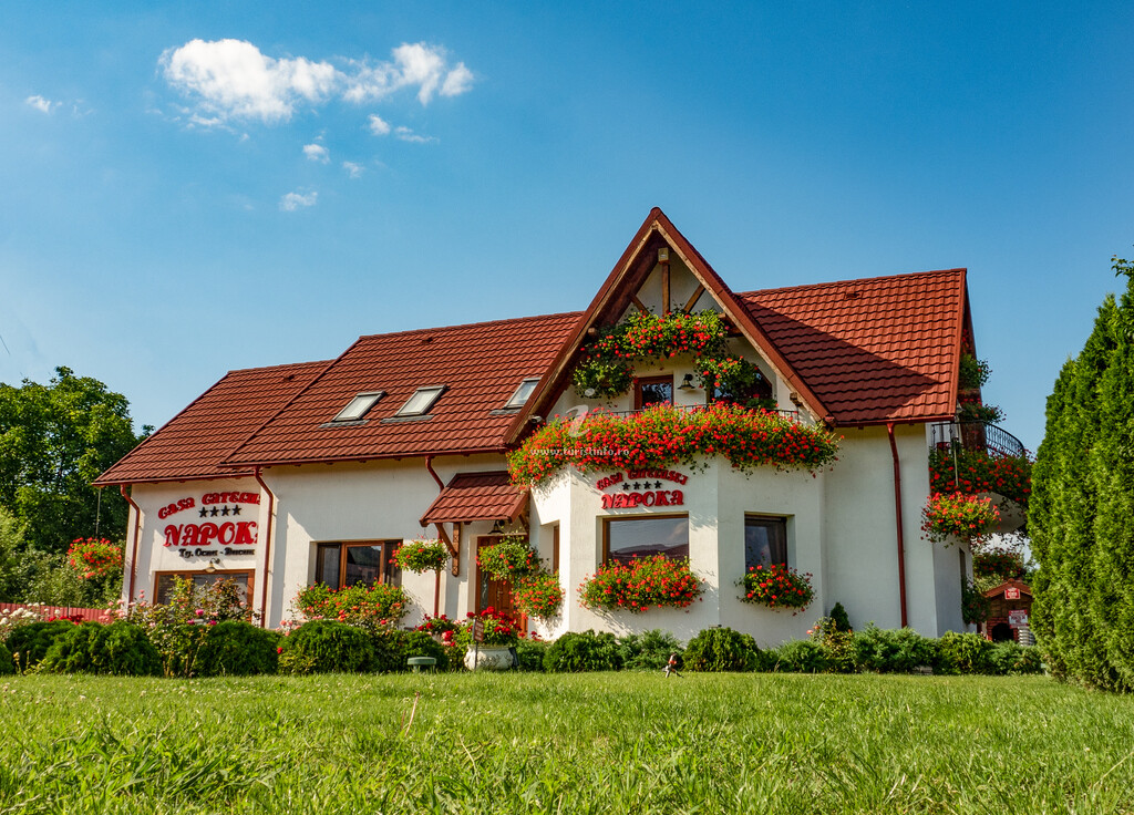 Casa de vacanță a cățelușei Napoka
