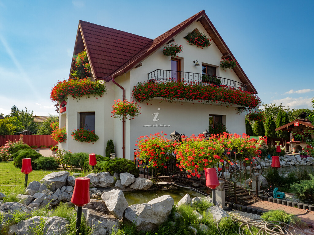 Casa de vacanță a cățelușei Napoka