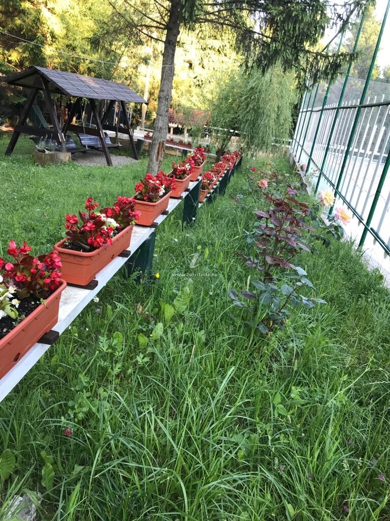 Casa de vacanță La Poale' N Brâu