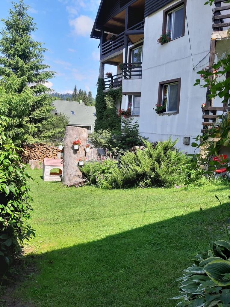 Pensiunea Montan