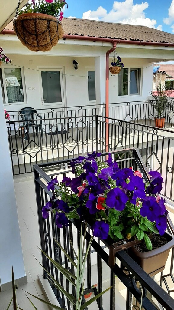 Camere de închiriat BCM Family House