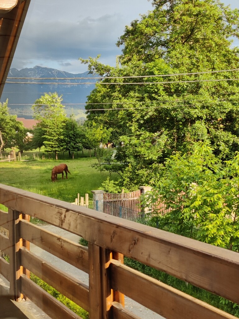 Cabana Ara Chalet