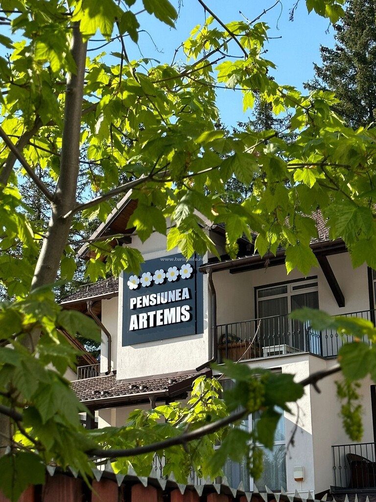 Pensiunea Artemis
