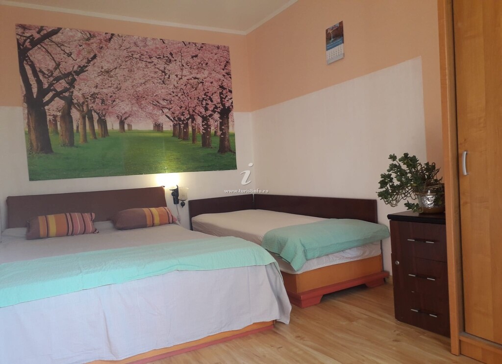 Apartament Cireșica