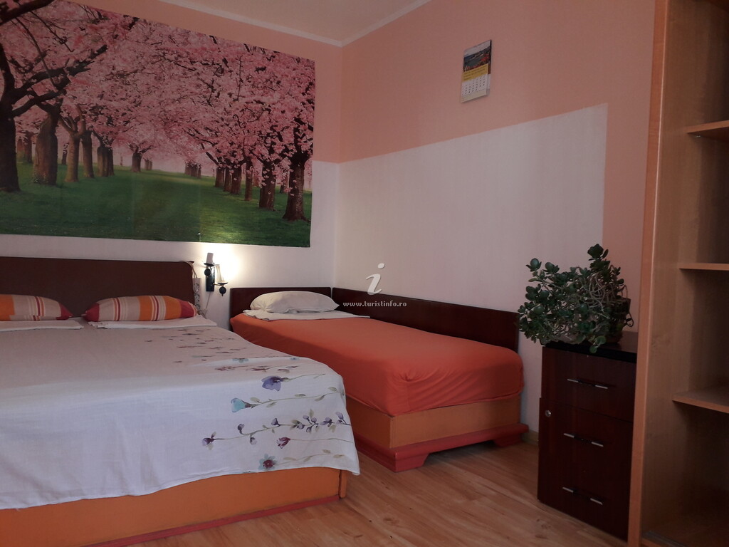 Apartament Cireșica