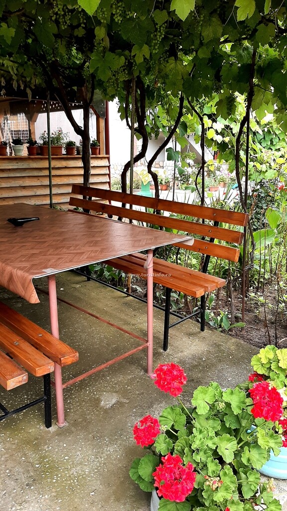 Camere de închiriat BCM Family House