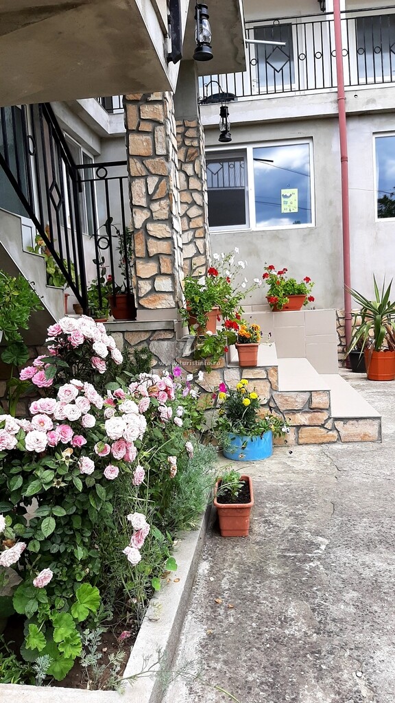 Camere de închiriat BCM Family House