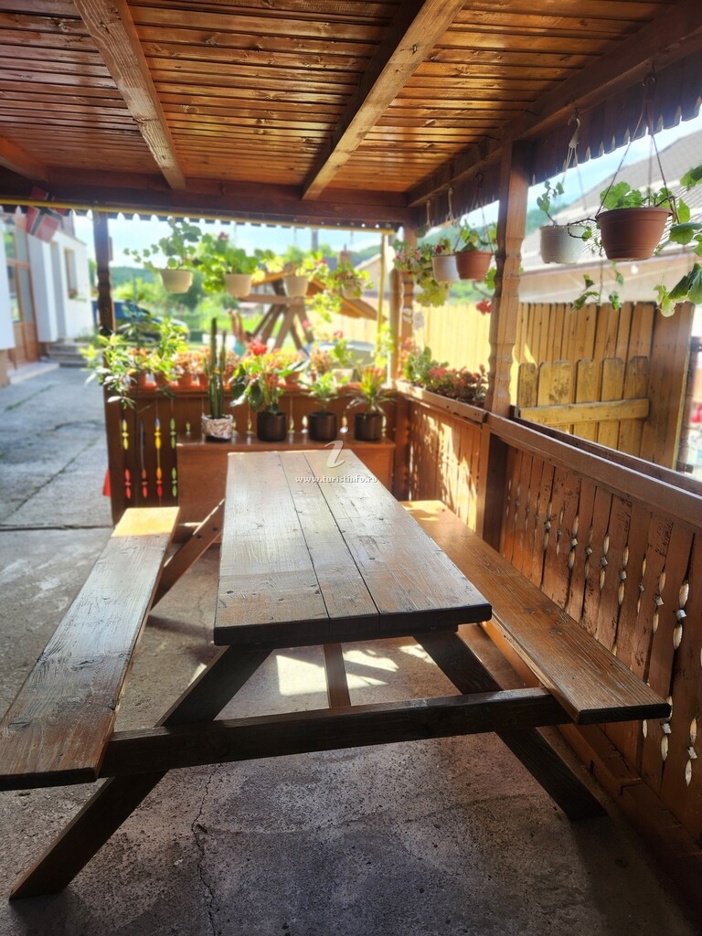 Casa de vacanță Bănuță