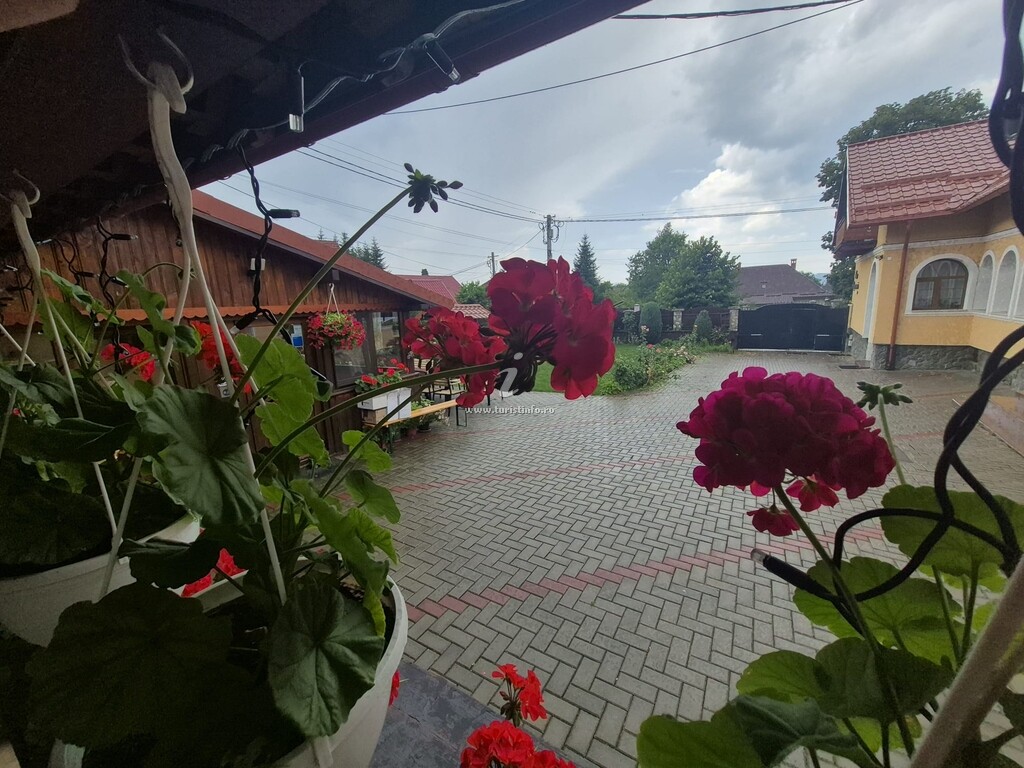 Pensiunea Casa Râșnoveană