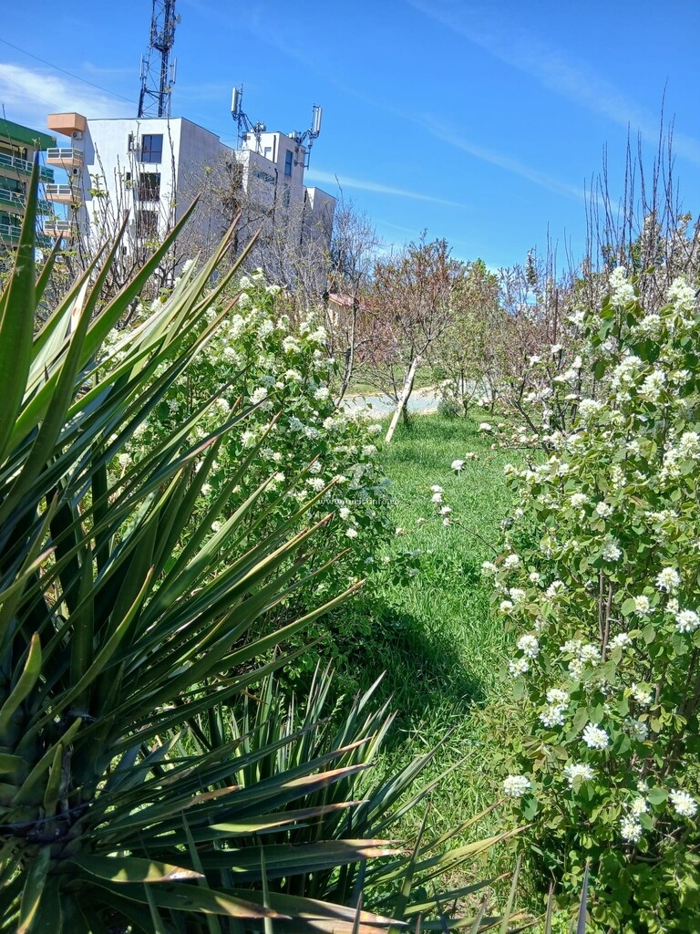 Vila Hellios Brizei