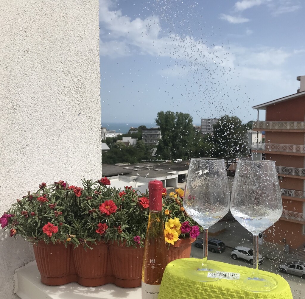 Camere de închiriat NeDa
