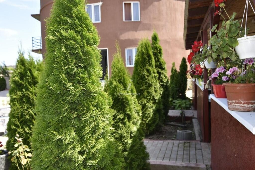 Pensiunea Obelisc