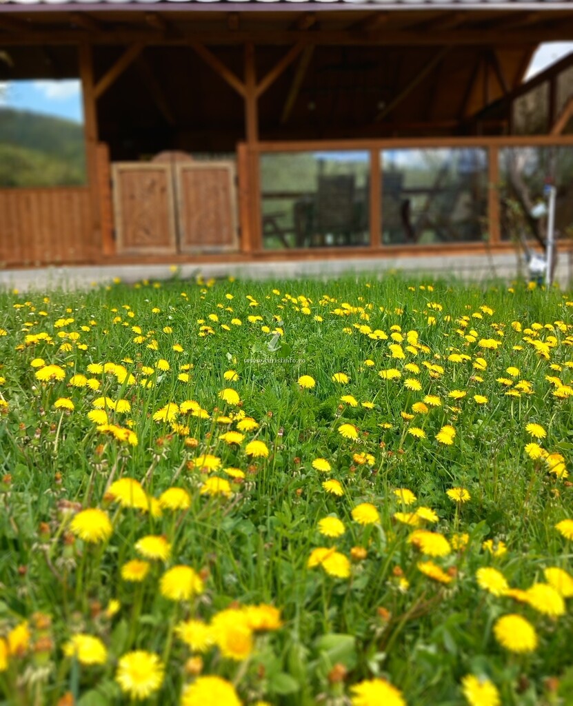 Căsuța Bunicii