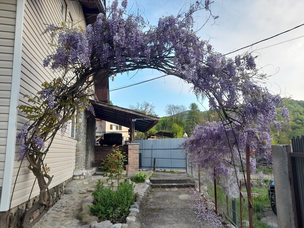 Cabana Cumpăna