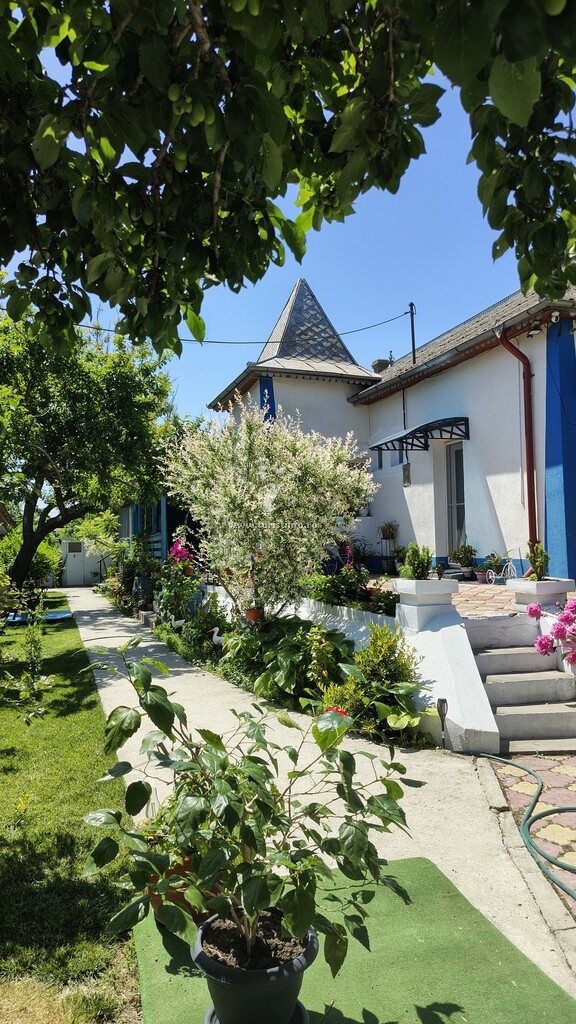 Casa Pescărușul Albatros