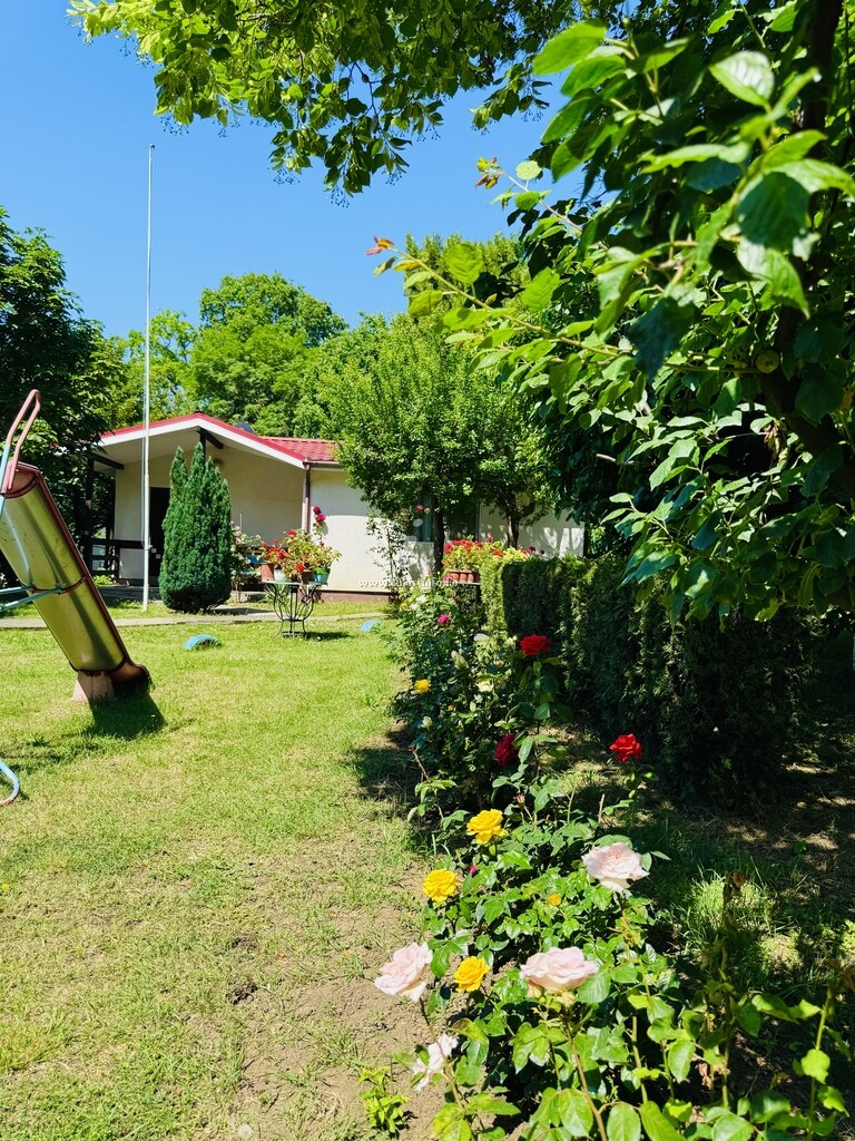 Căsuțe tip camping Scorpion
