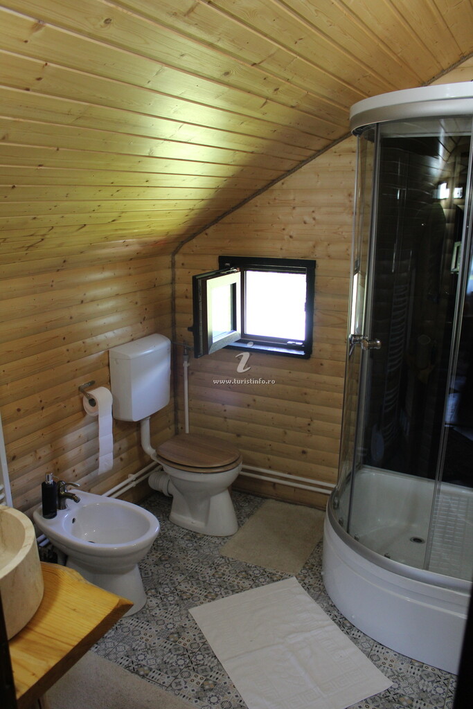 Cabana din Vis